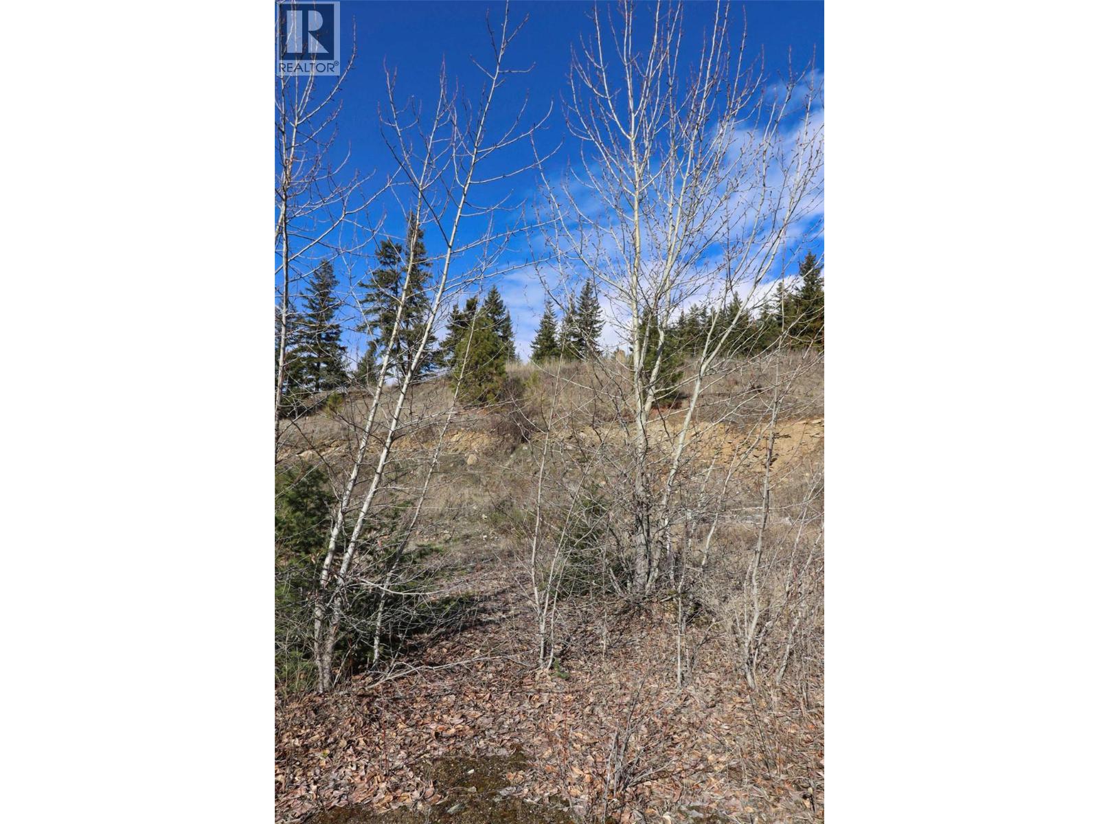 2633 Squilax Anglemont Road Unit# 144, Lee Creek, British Columbia  V0E 1M4 - Photo 9 - 10376973