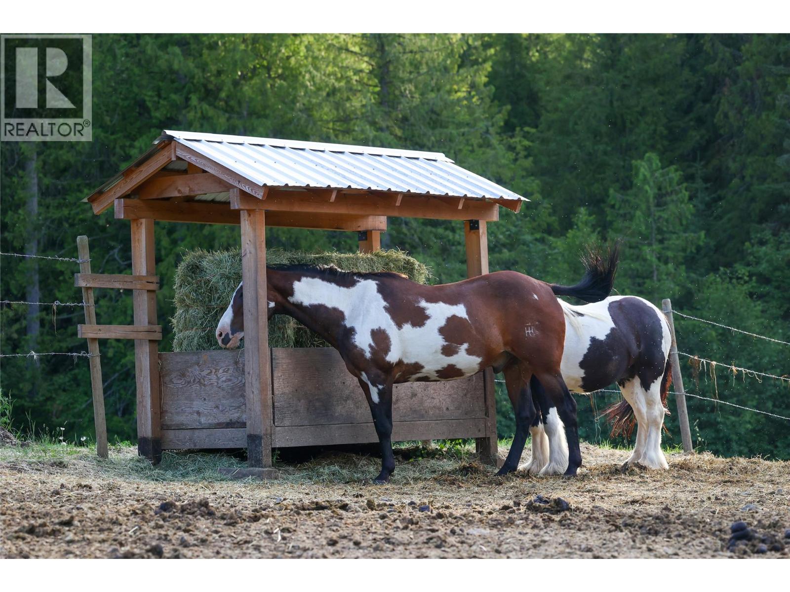 4161 Verigin Road, Nelson, British Columbia  V1L 6V9 - Photo 42 - 10375828