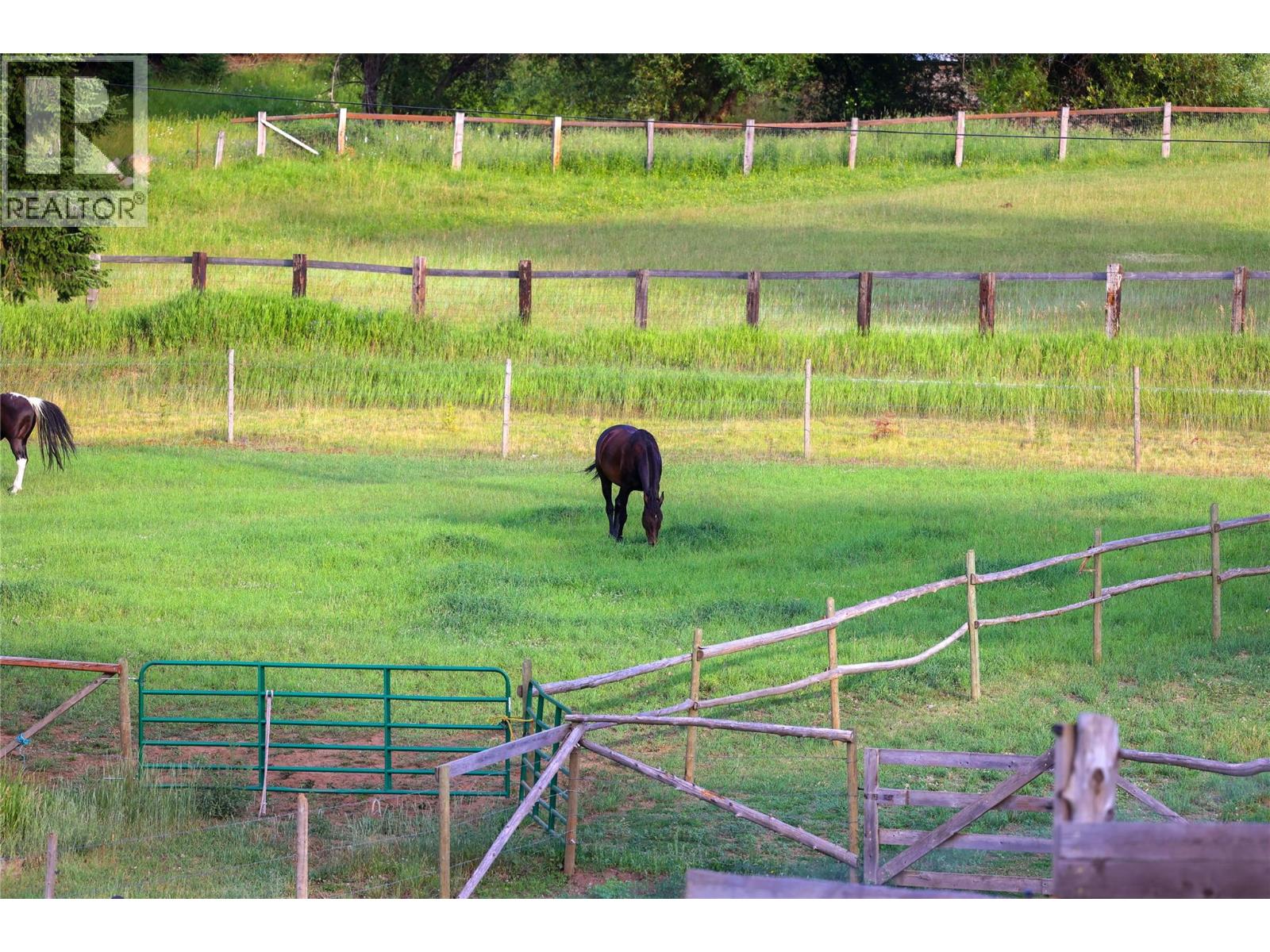 4161 Verigin Road, Nelson, British Columbia  V1L 6V9 - Photo 43 - 10375828