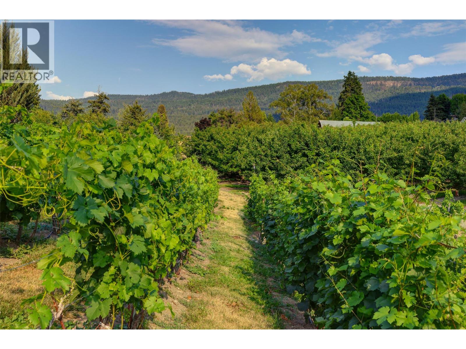 14911 Oyama Road, Lake Country, British Columbia  V4V 2C6 - Photo 58 - 10376275