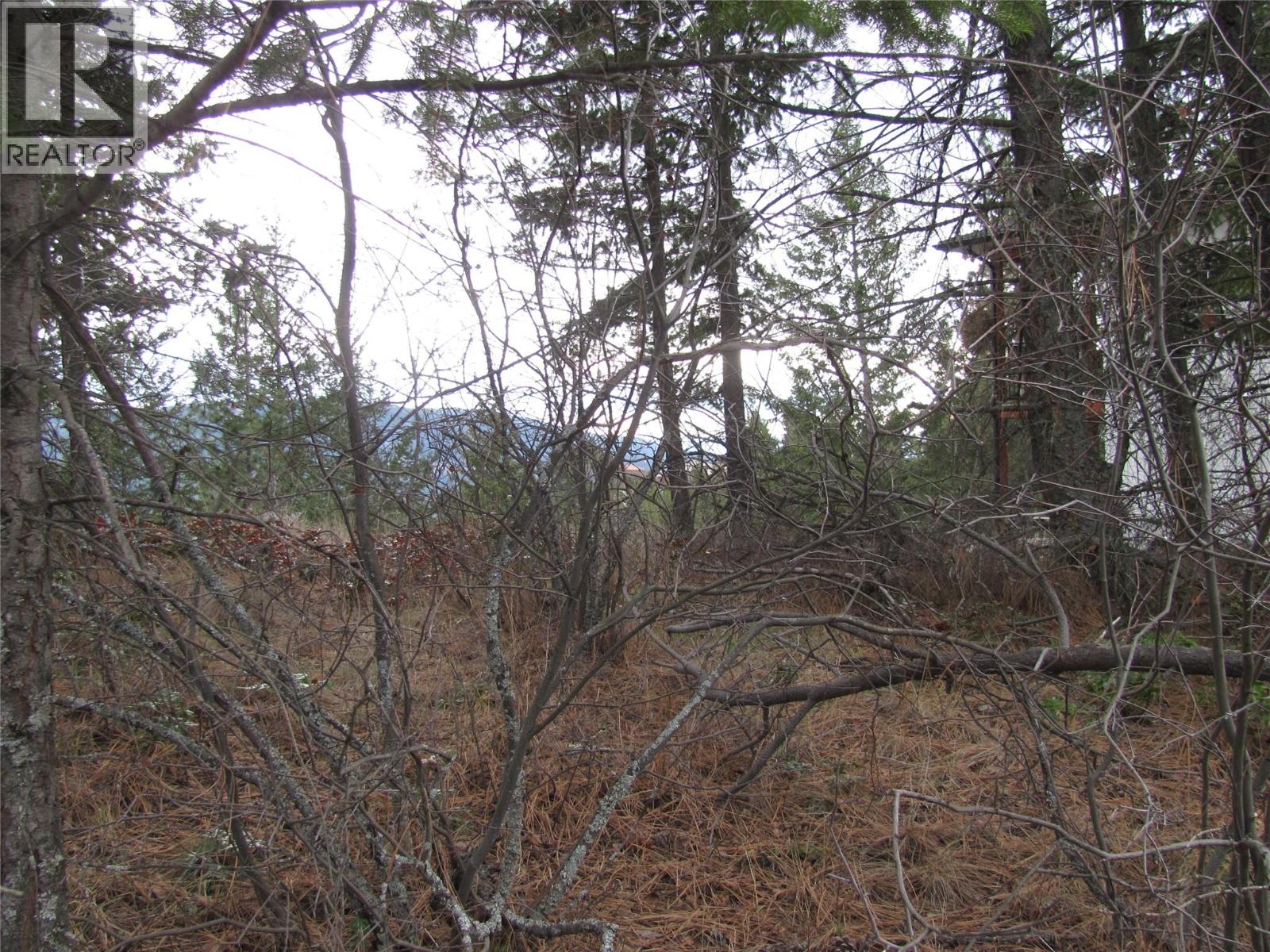 Crown Crescent Lot# 252, Vernon, British Columbia  V1B 4A2 - Photo 23 - 10377402