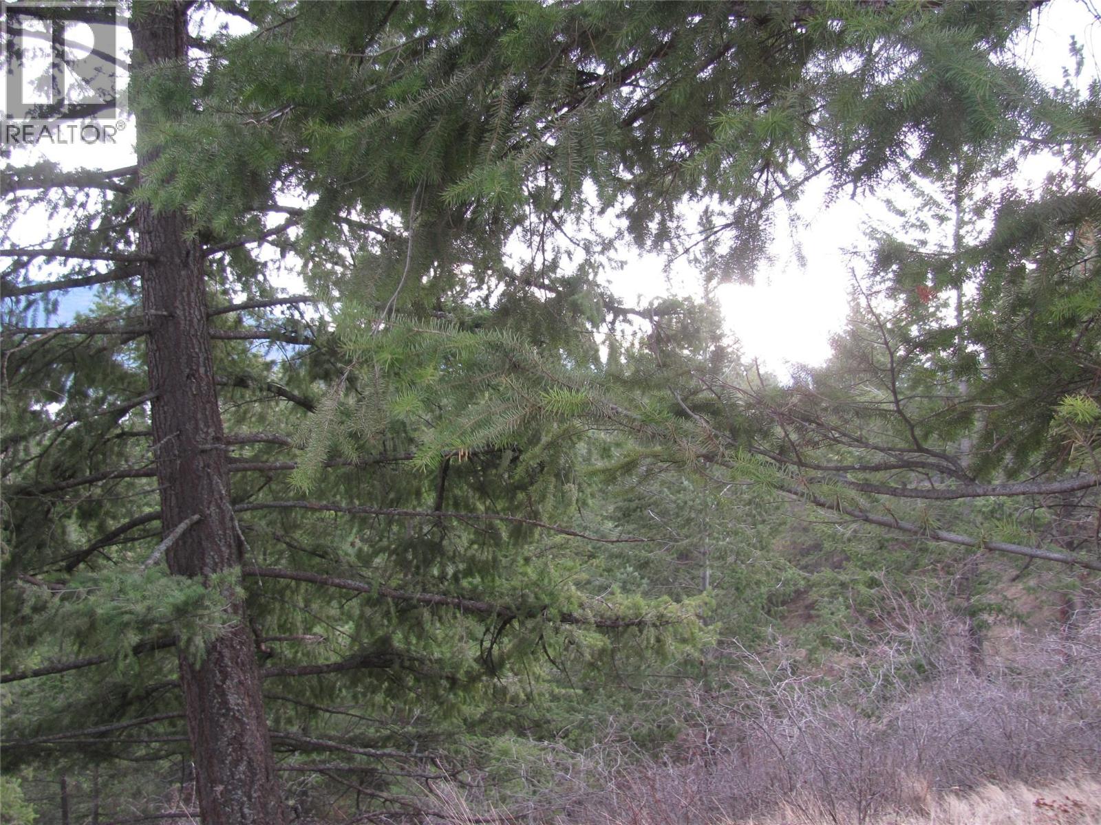 Crown Crescent Lot# 252, Vernon, British Columbia  V1B 4A2 - Photo 25 - 10377402