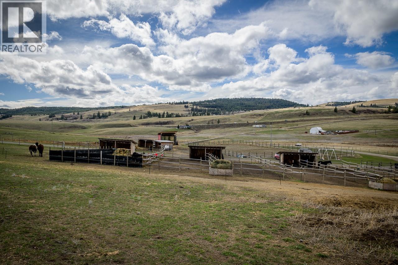 3650 Princeton Kamloops Highway, Kamloops, British Columbia  V0E 2A0 - Photo 38 - 10377421