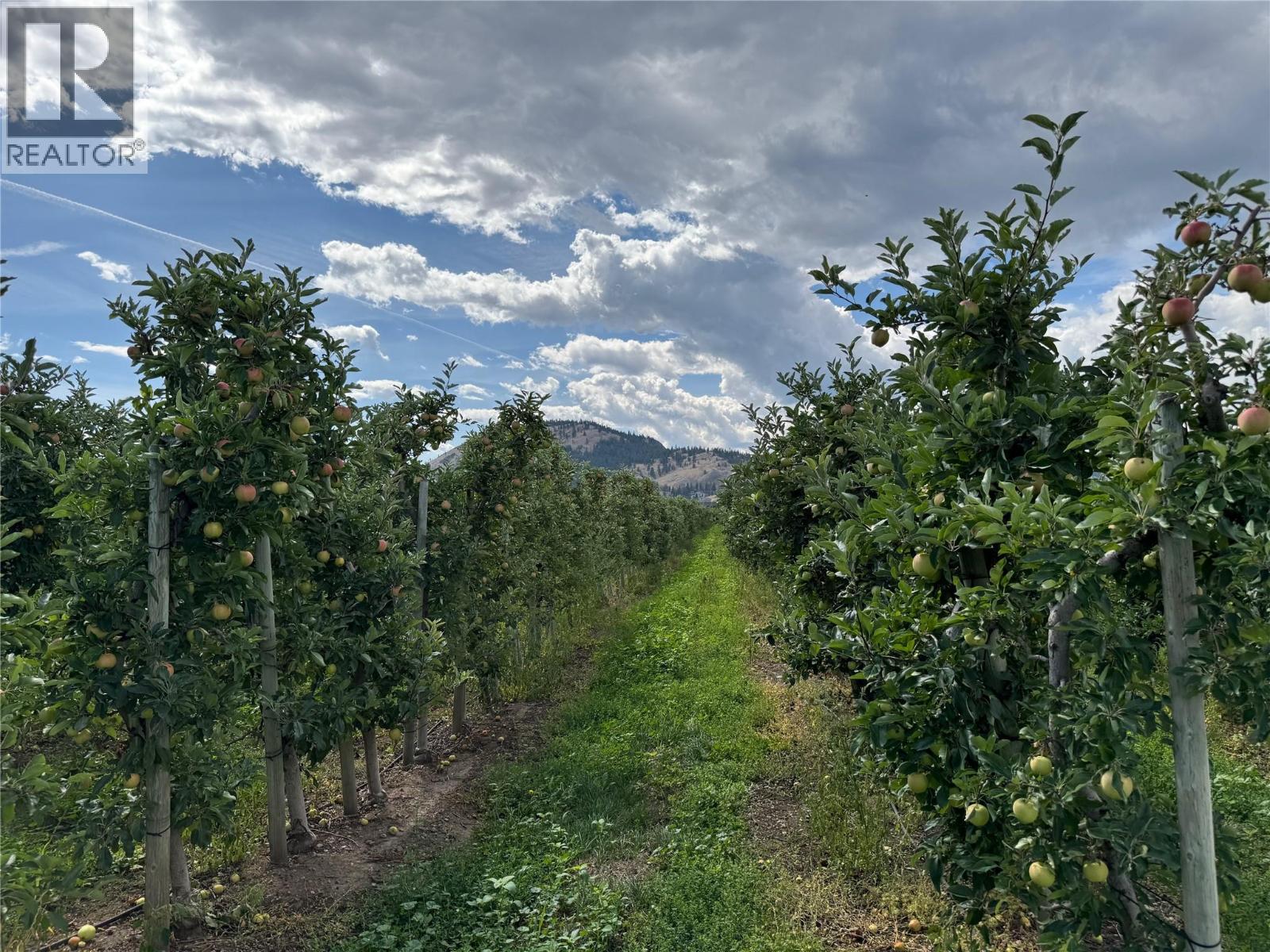 9105 Jones Flat Road, Summerland, British Columbia  V0H 1Z6 - Photo 4 - 10377436