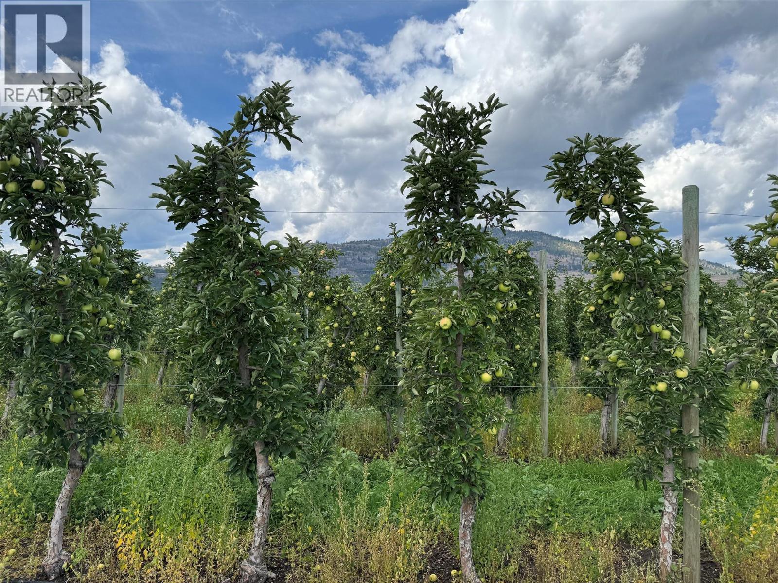 15812 Logie Road, Summerland, British Columbia  V0H 1Z6 - Photo 2 - 10377438