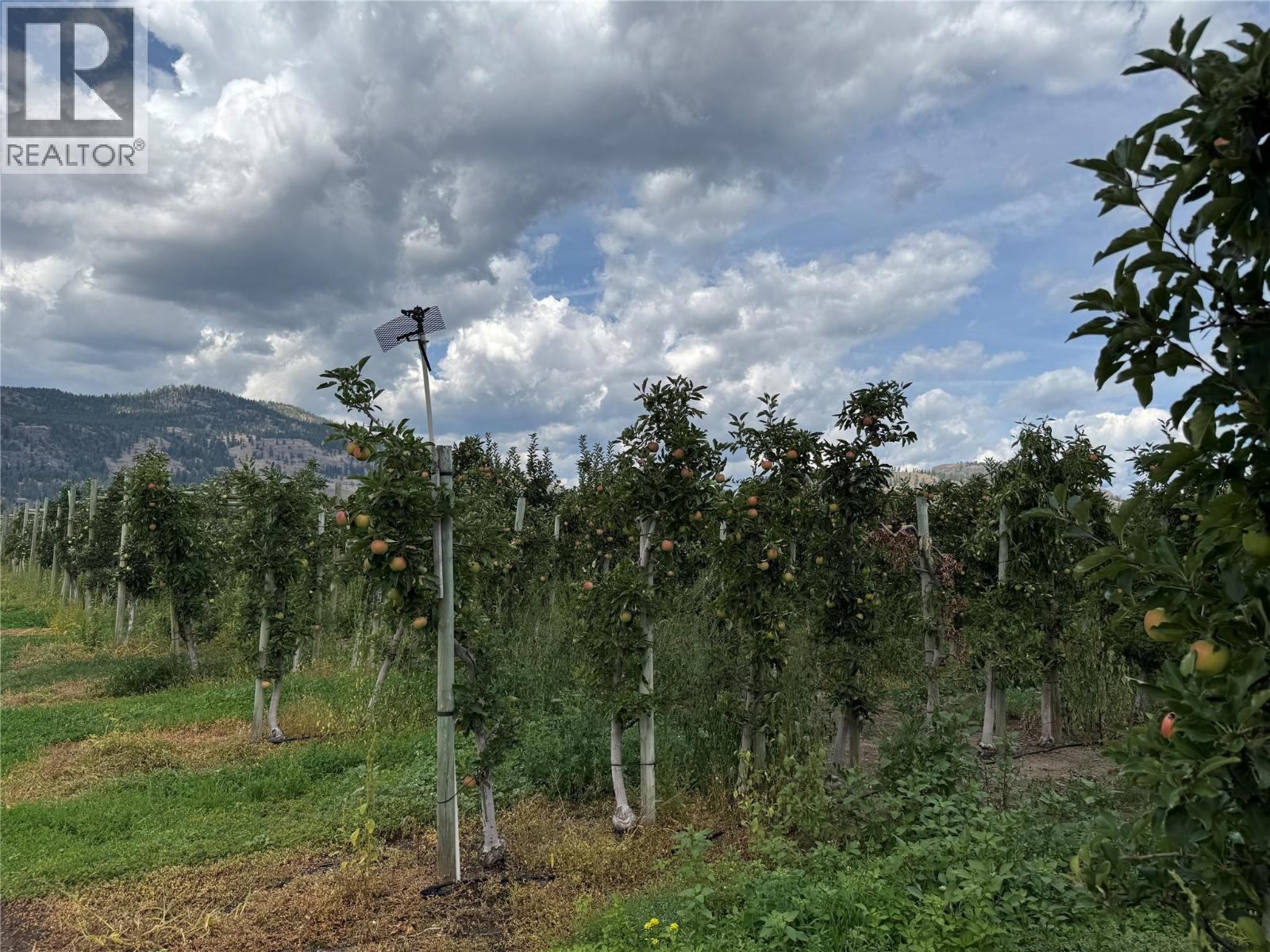 15812 Logie Road, Summerland, British Columbia  V0H 1Z6 - Photo 4 - 10377438