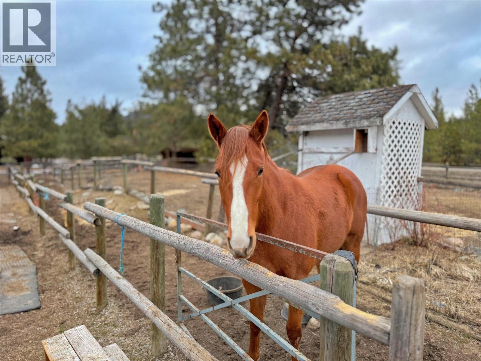 849 Old Princeton-Merritt Highway, Princeton, British Columbia  V0X 1W0 - Photo 5 - 10377319