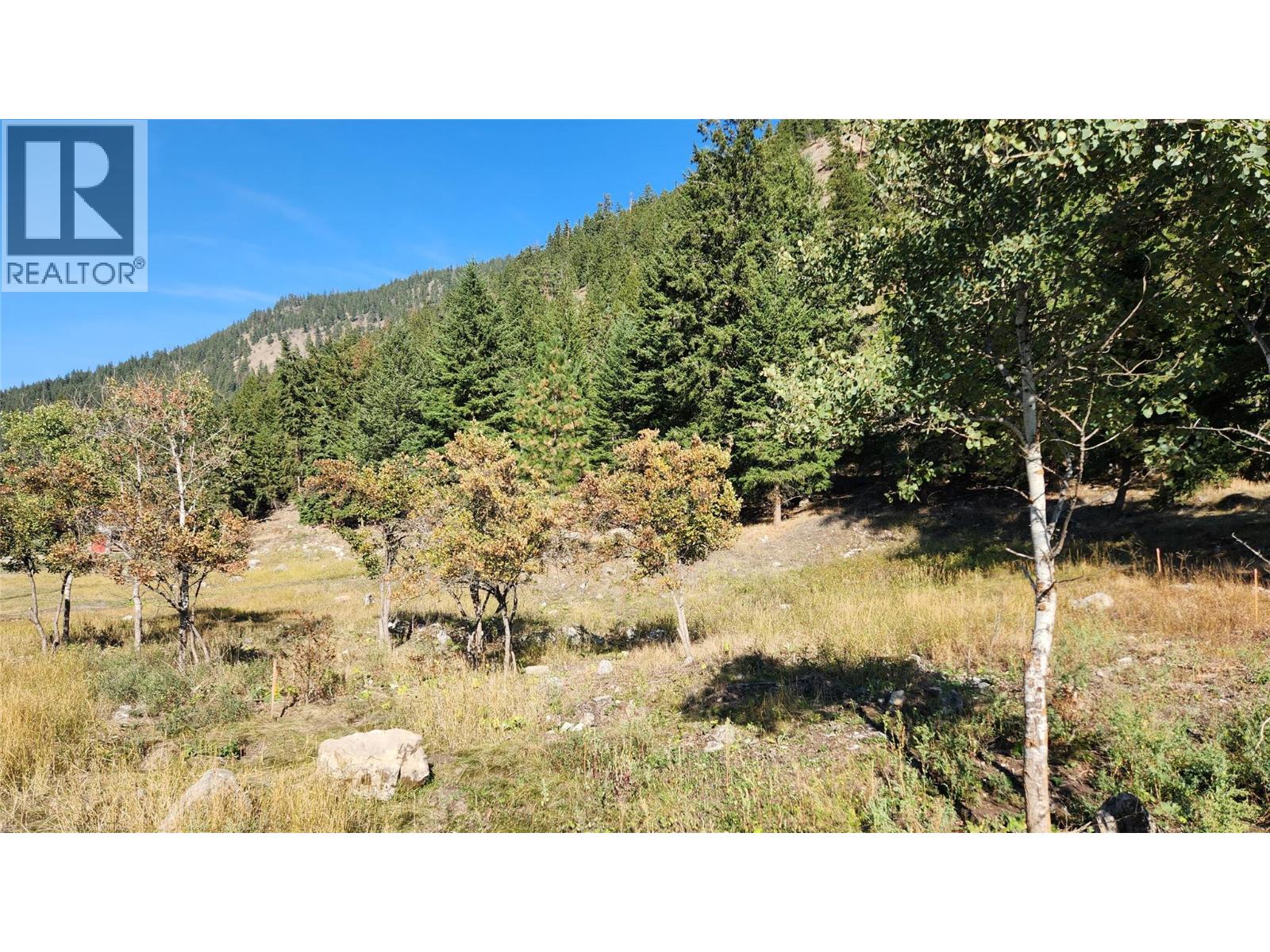 Yellowhead Highway, Kamloops, British Columbia  V0E 1Z0 - Photo 1 - 10377312