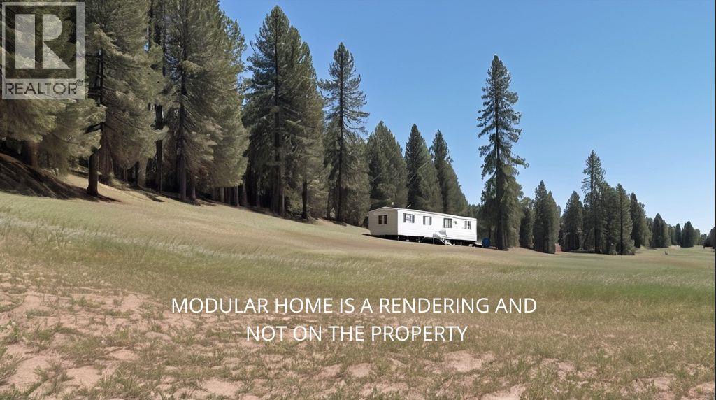 Yellowhead Highway, Kamloops, British Columbia  V0E 1Z0 - Photo 10 - 10377312