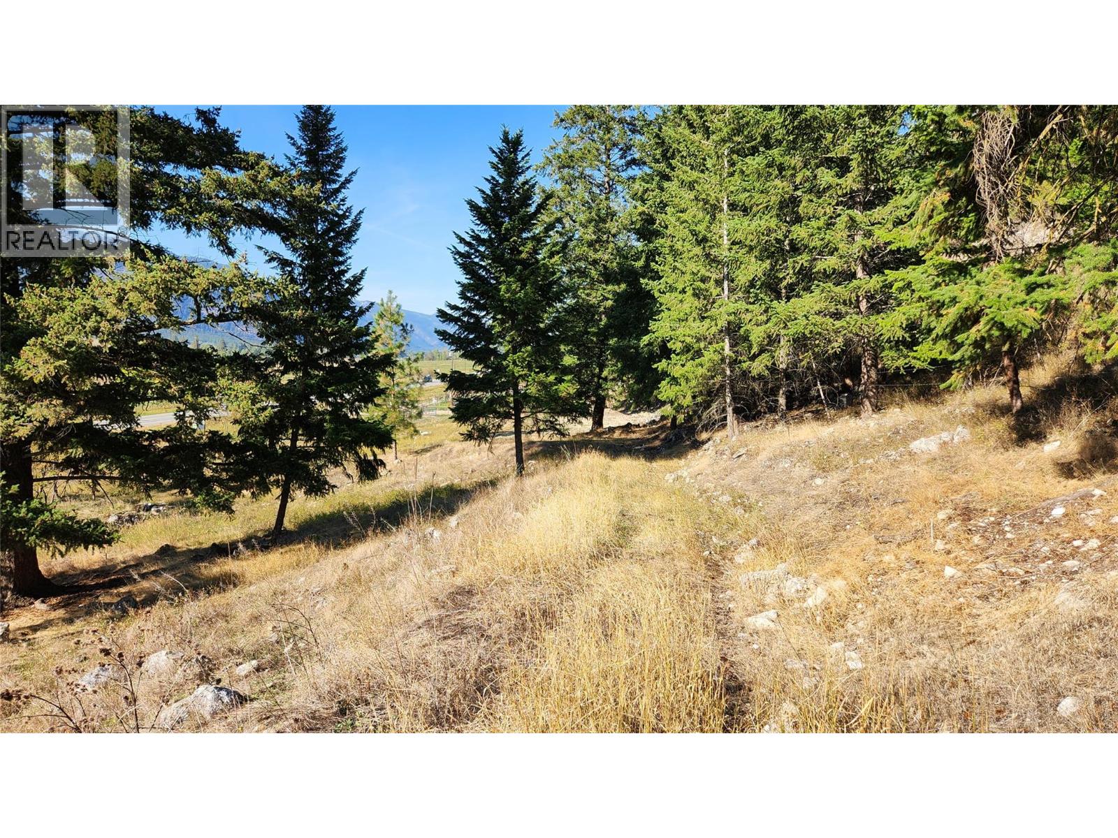 Yellowhead Highway, Kamloops, British Columbia  V0E 1Z0 - Photo 4 - 10377312