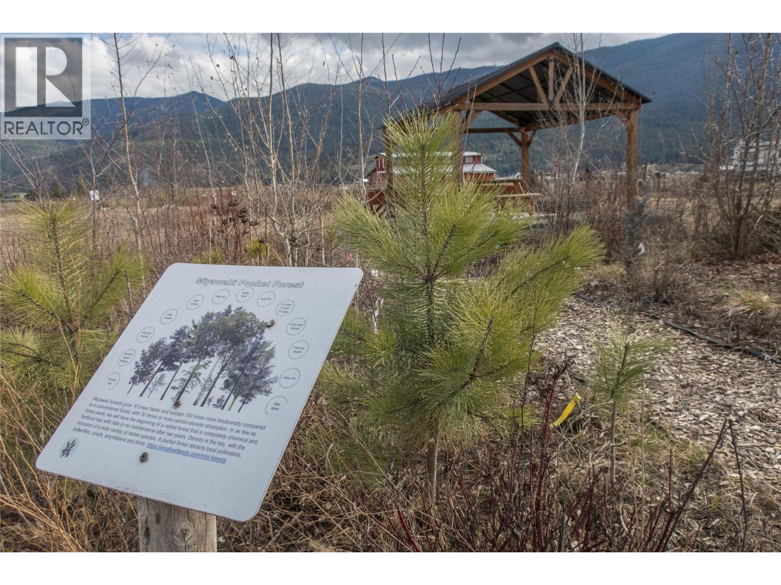 1978 Pleasant Valley Road, Spallumcheen, British Columbia  V4Y 0T7 - Photo 45 - 10376530