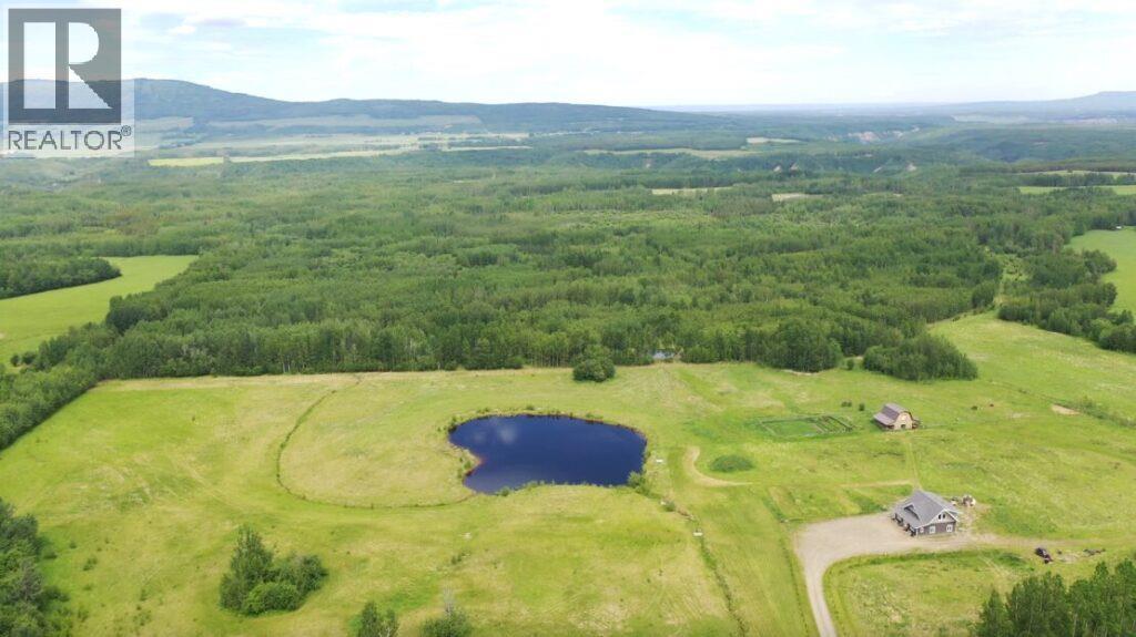 610 Cowie Creek Road, Chetwynd, British Columbia  V0C 1J0 - Photo 9 - 10377488