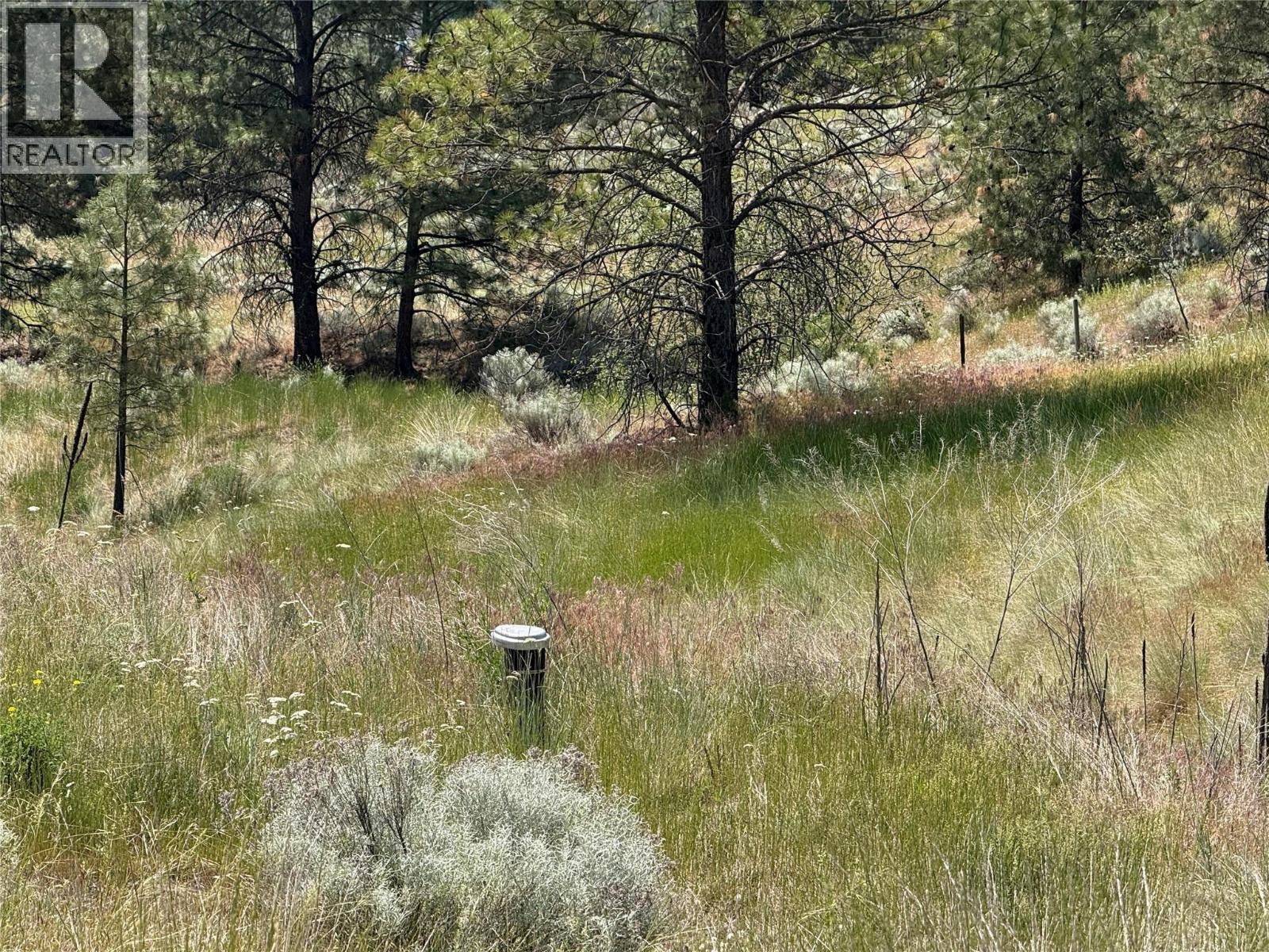 4716 Pinantan - Pritchard Road, Pritchard, British Columbia  V0E 3E1 - Photo 11 - 10377386