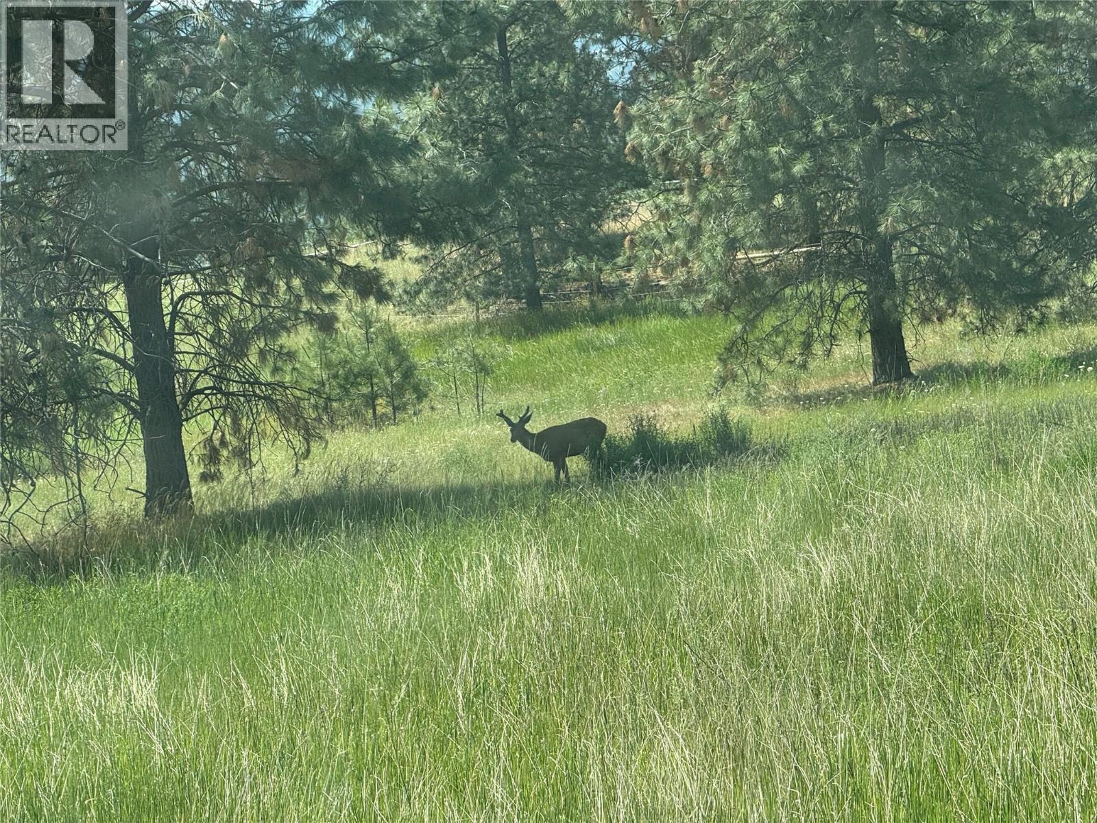 4755 Kamloops Shuswap Road, Kamloops, British Columbia  V0E 2P0 - Photo 5 - 10377389