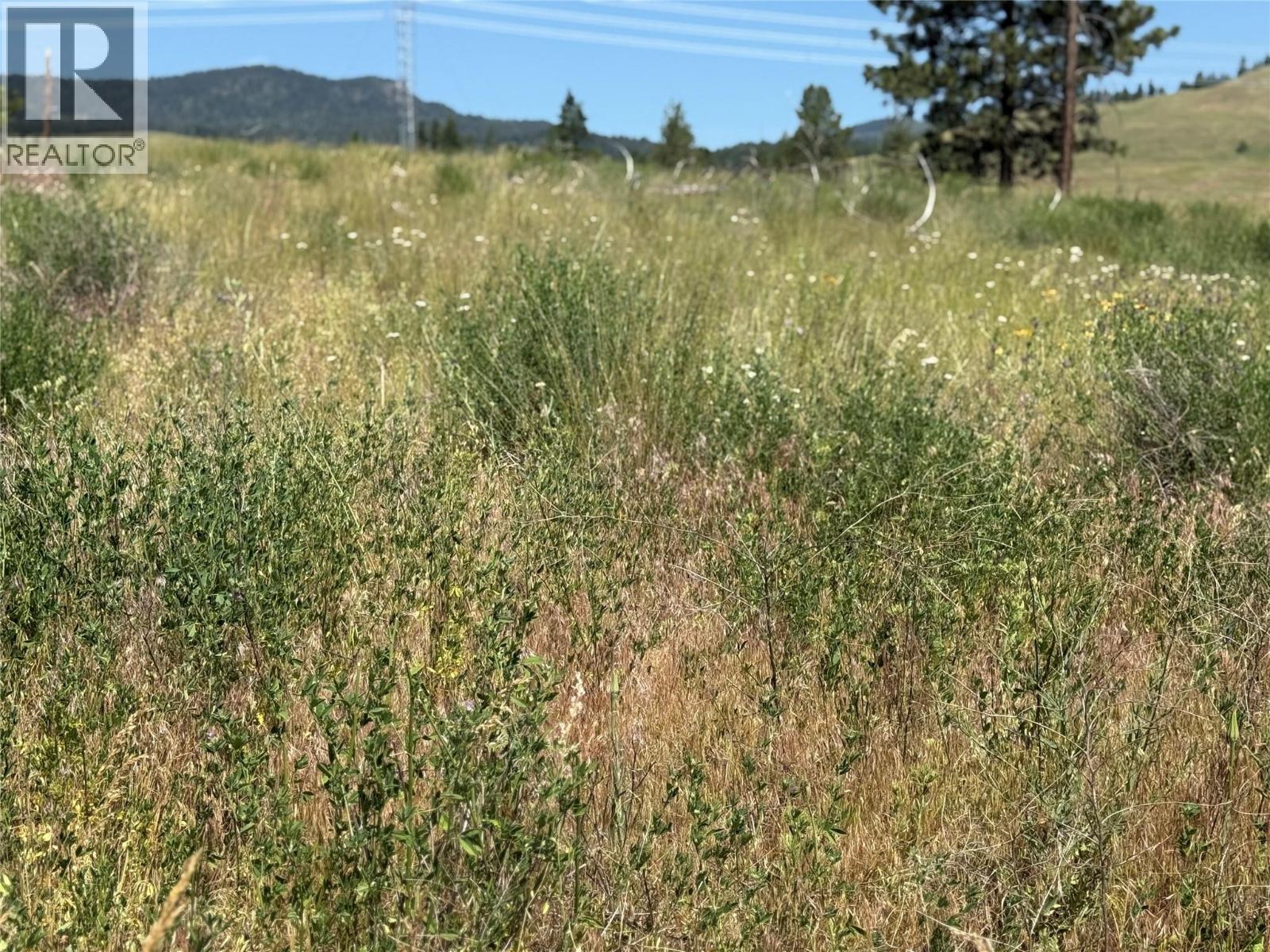 Whiskers Hill Road Lot# 2, Pritchard, British Columbia  V0E 2P0 - Photo 9 - 10377282