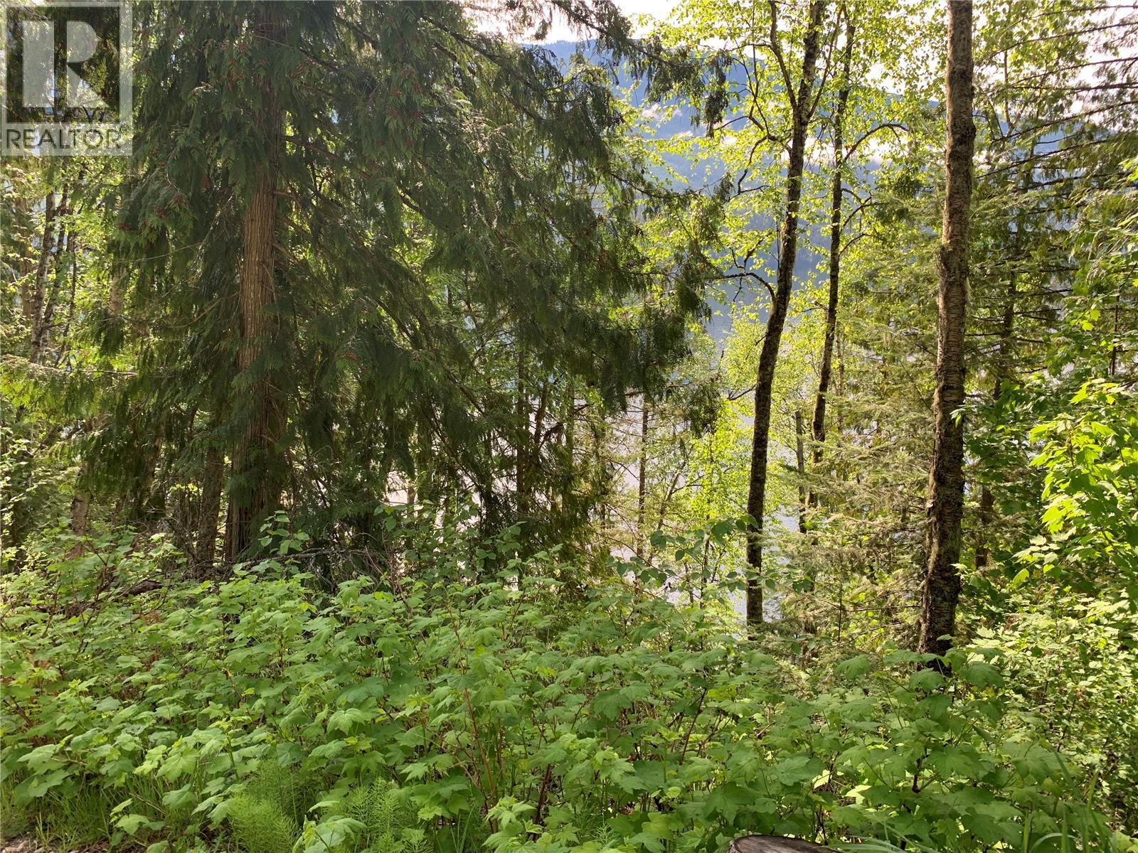 28 Simard Road, Mabel Lake, British Columbia  V0E 1V5 - Photo 36 - 10377603