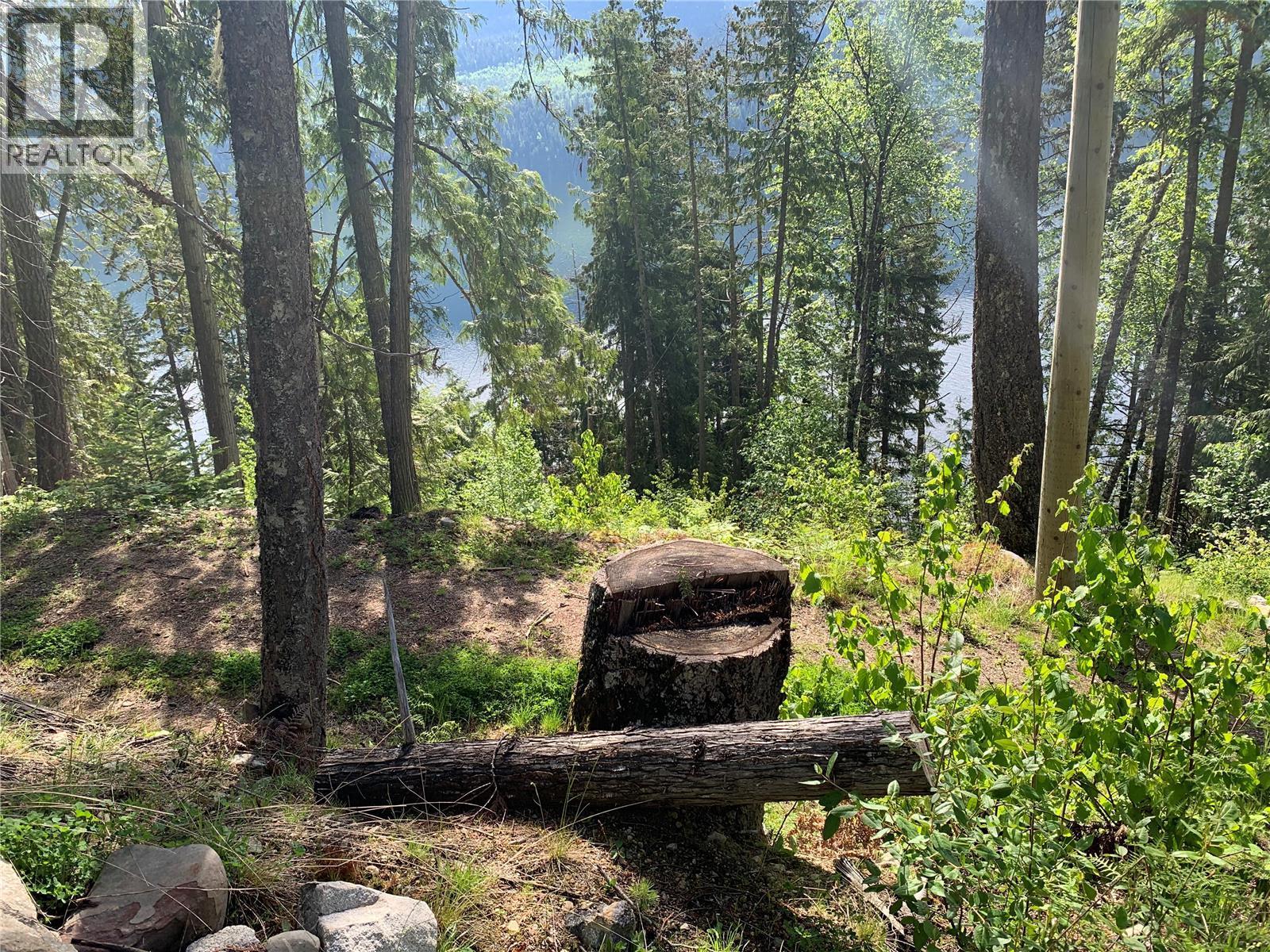 28 Simard Road, Mabel Lake, British Columbia  V0E 1V5 - Photo 38 - 10377603