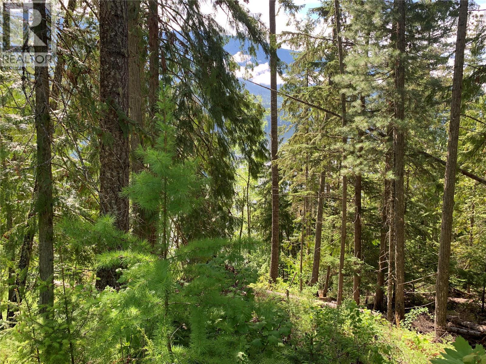 28 Simard Road, Mabel Lake, British Columbia  V0E 1V5 - Photo 42 - 10377603