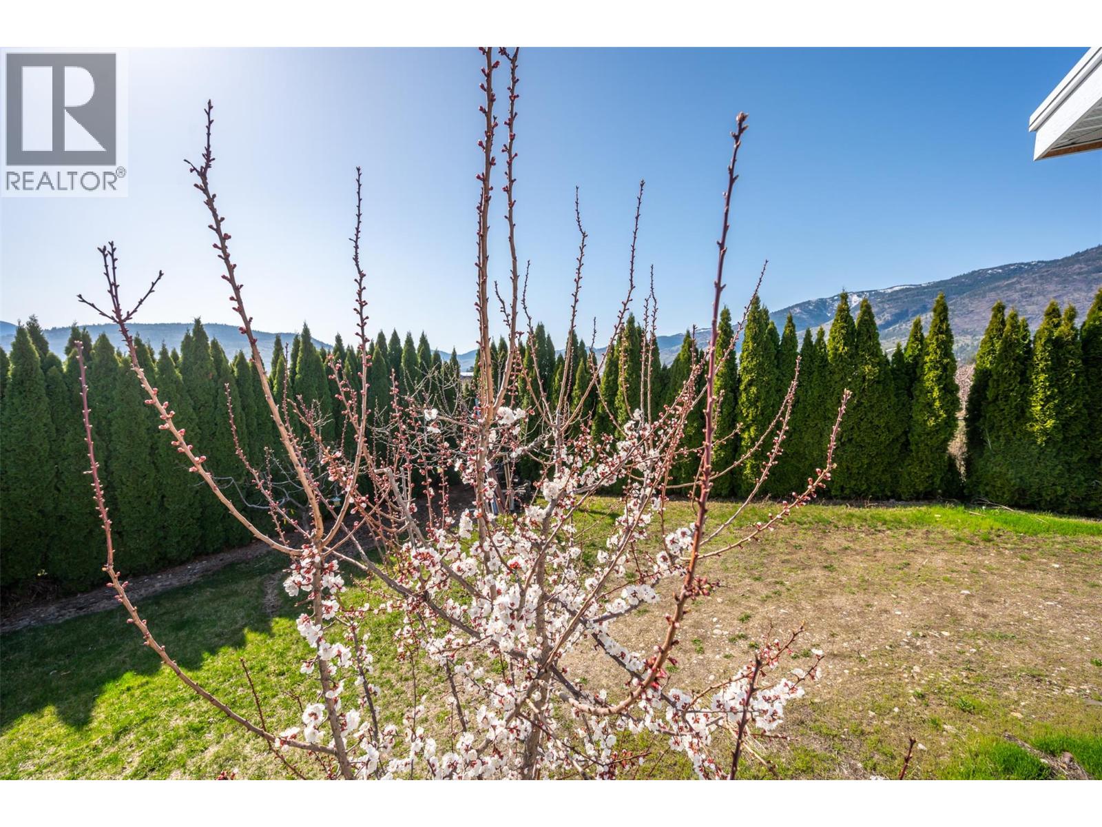 1095 Fairview Road, Oliver, British Columbia  V0H 1T1 - Photo 37 - 10377683