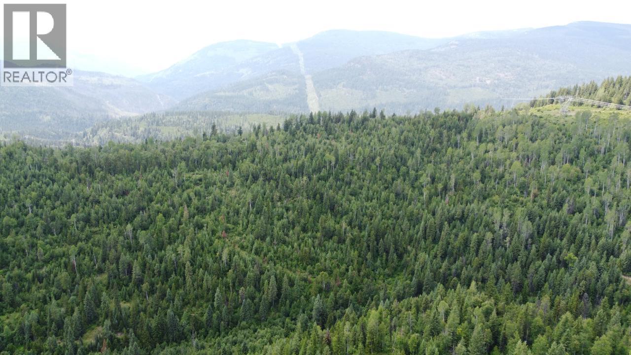 549 Rosebud Lake Road, Salmo, British Columbia  V0G 1Z0 - Photo 10 - 10377273