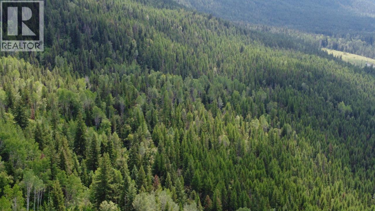 549 Rosebud Lake Road, Salmo, British Columbia  V0G 1Z0 - Photo 14 - 10377273