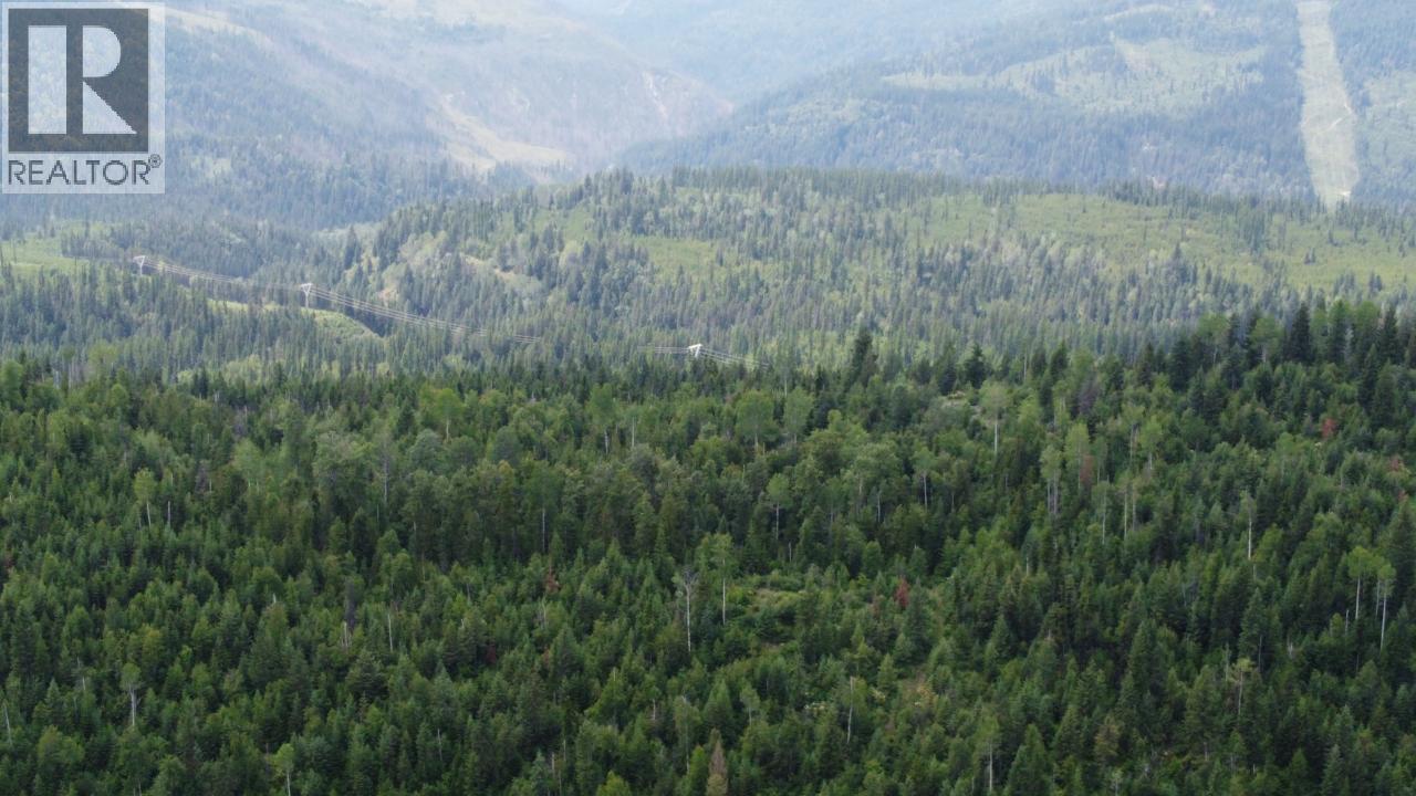 549 Rosebud Lake Road, Salmo, British Columbia  V0G 1Z0 - Photo 15 - 10377273