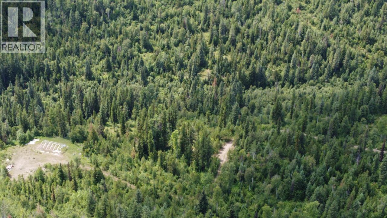 549 Rosebud Lake Road, Salmo, British Columbia  V0G 1Z0 - Photo 17 - 10377273