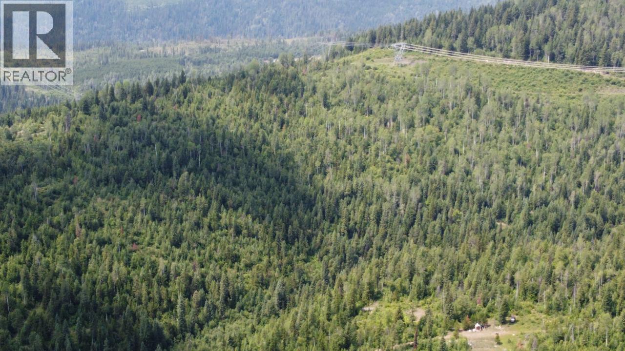 549 Rosebud Lake Road, Salmo, British Columbia  V0G 1Z0 - Photo 18 - 10377273