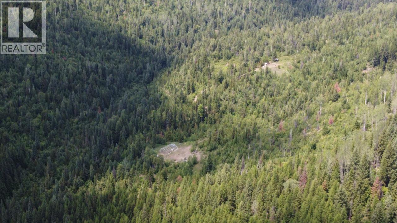 549 Rosebud Lake Road, Salmo, British Columbia  V0G 1Z0 - Photo 19 - 10377273