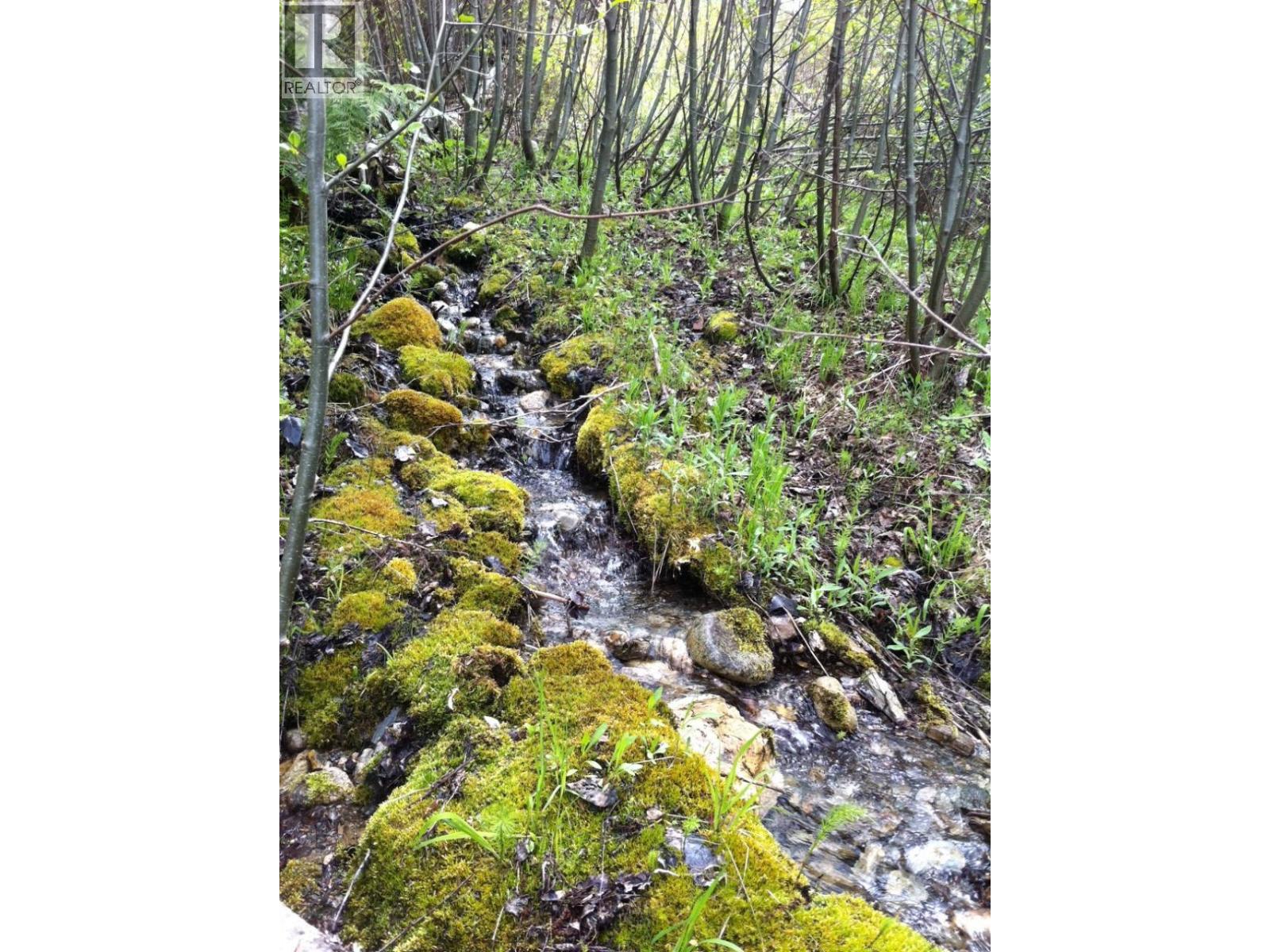 549 Rosebud Lake Road, Salmo, British Columbia  V0G 1Z0 - Photo 2 - 10377273