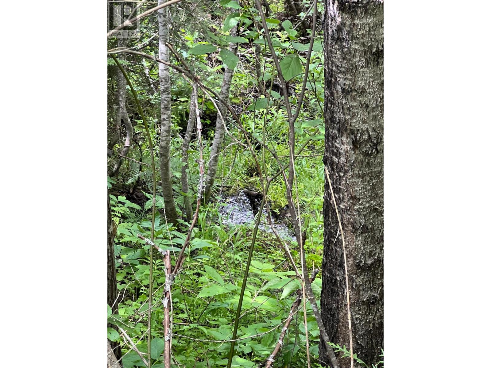 549 Rosebud Lake Road, Salmo, British Columbia  V0G 1Z0 - Photo 21 - 10377273