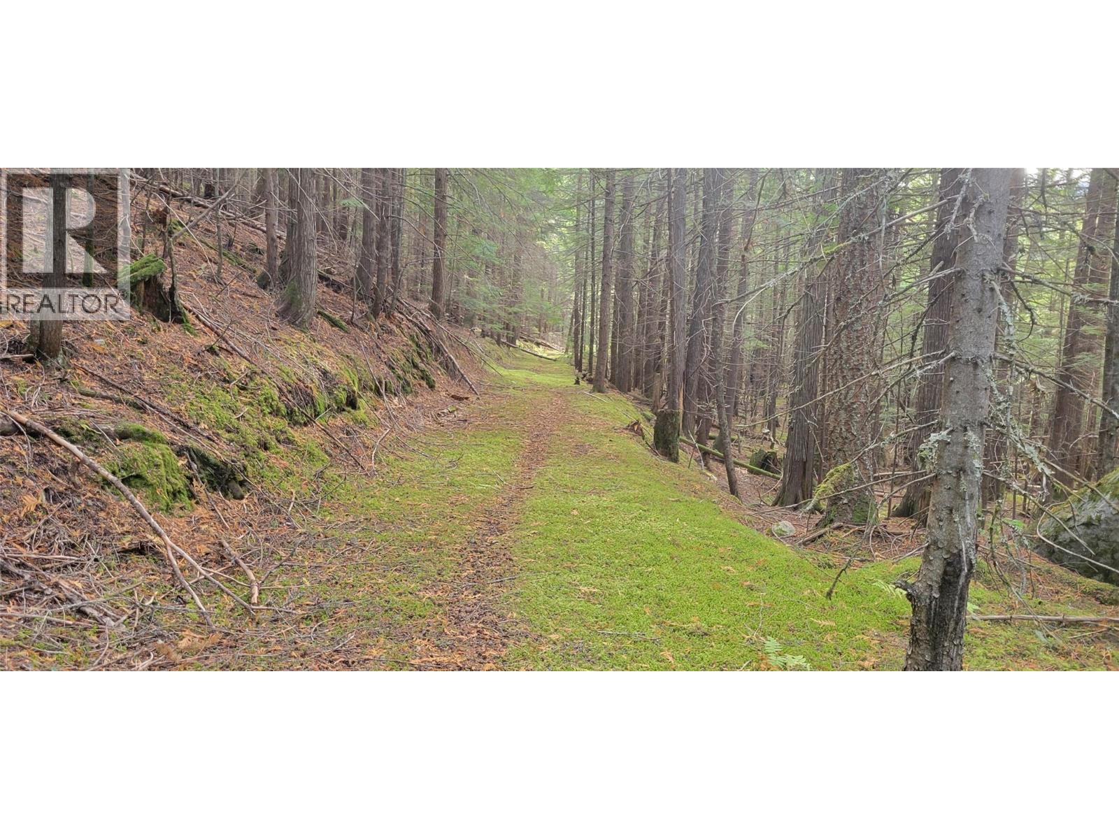 549 Rosebud Lake Road, Salmo, British Columbia  V0G 1Z0 - Photo 22 - 10377273