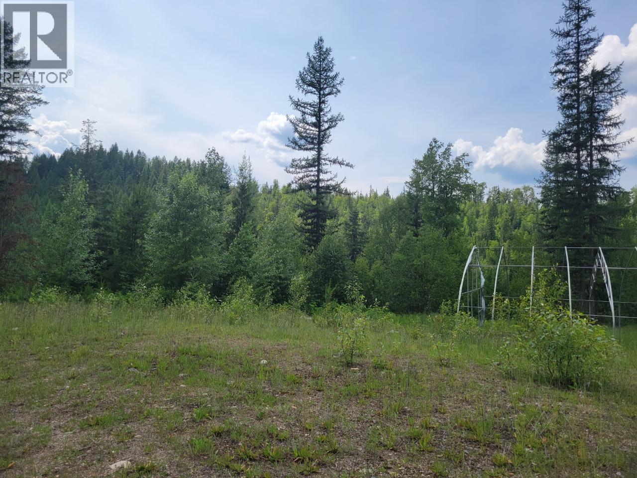 549 Rosebud Lake Road, Salmo, British Columbia  V0G 1Z0 - Photo 24 - 10377273