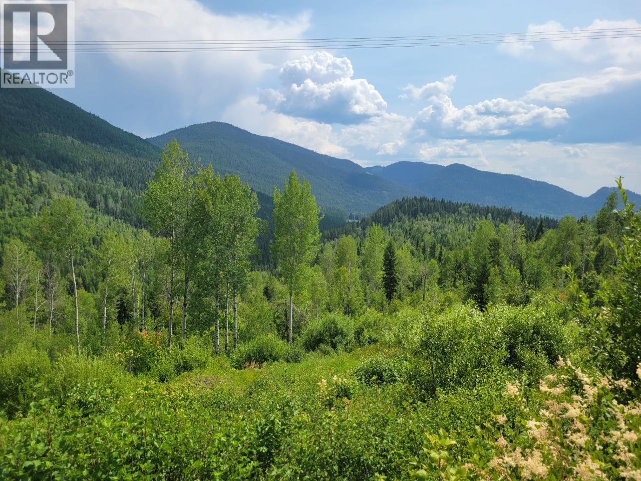 549 Rosebud Lake Road, Salmo, British Columbia  V0G 1Z0 - Photo 26 - 10377273