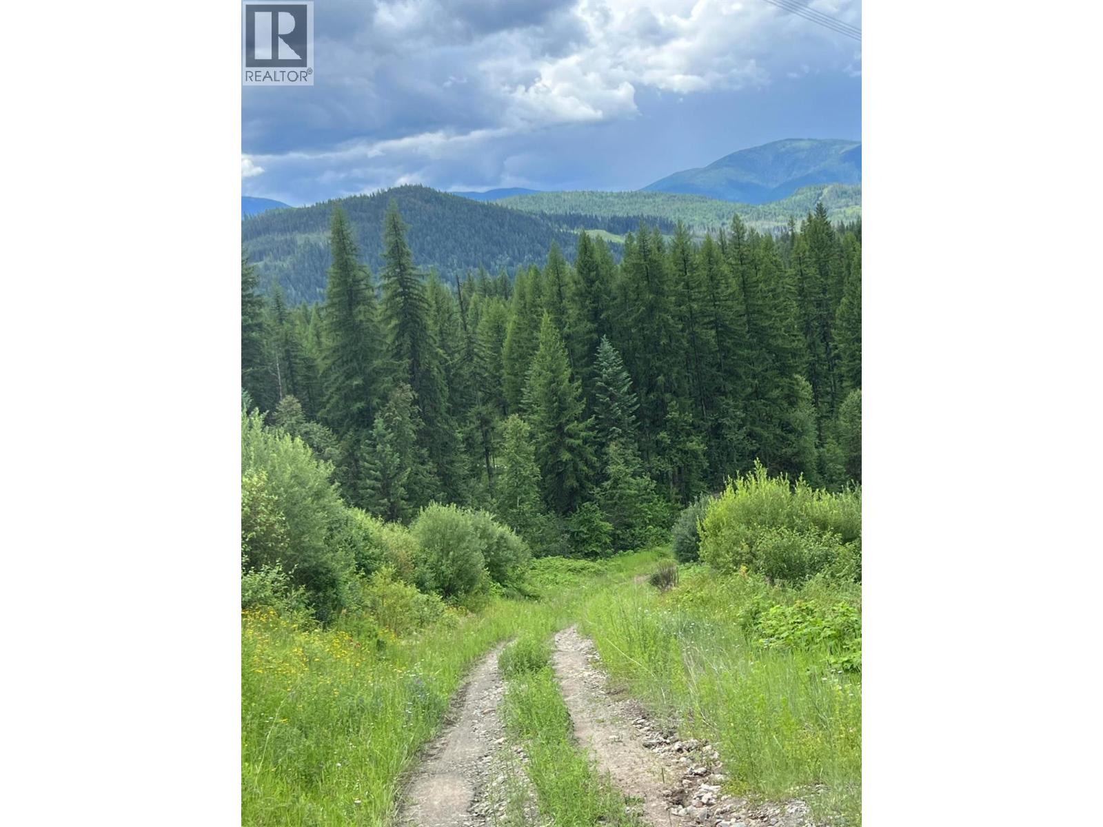 549 Rosebud Lake Road, Salmo, British Columbia  V0G 1Z0 - Photo 27 - 10377273