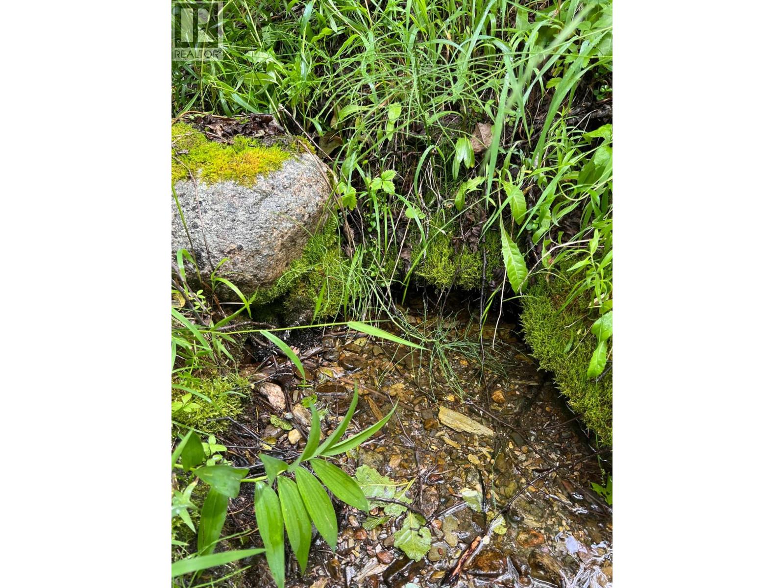 549 Rosebud Lake Road, Salmo, British Columbia  V0G 1Z0 - Photo 29 - 10377273