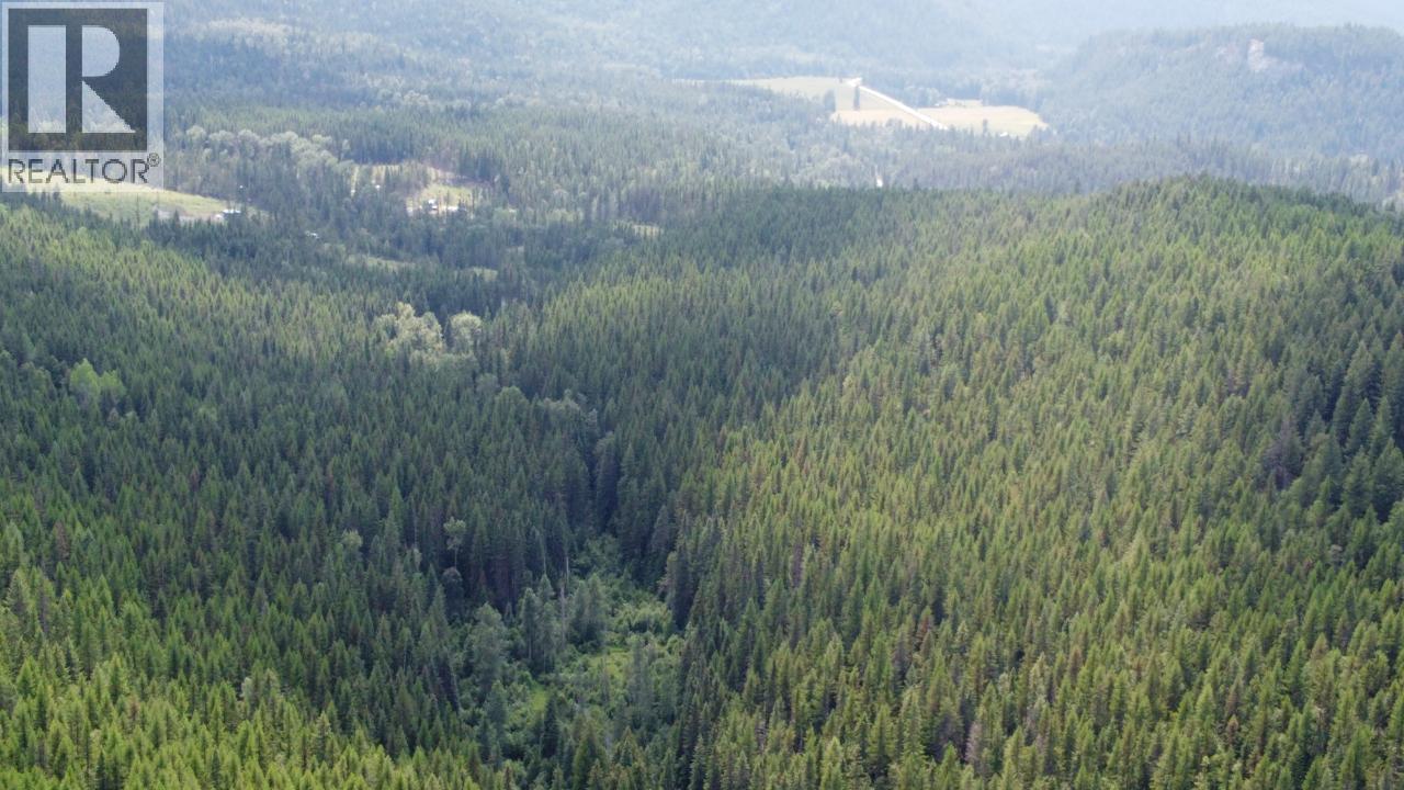 549 Rosebud Lake Road, Salmo, British Columbia  V0G 1Z0 - Photo 3 - 10377273