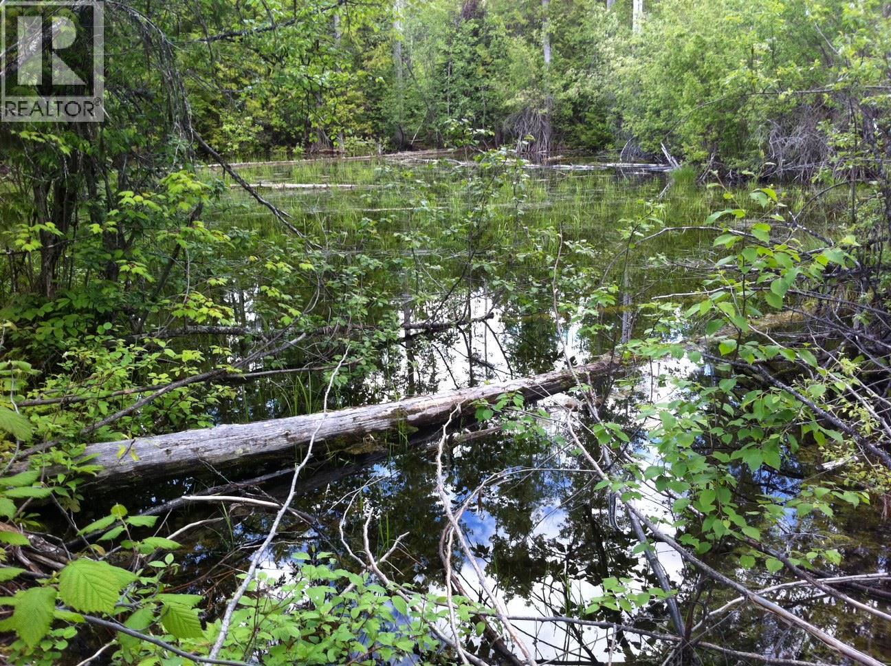 549 Rosebud Lake Road, Salmo, British Columbia  V0G 1Z0 - Photo 30 - 10377273