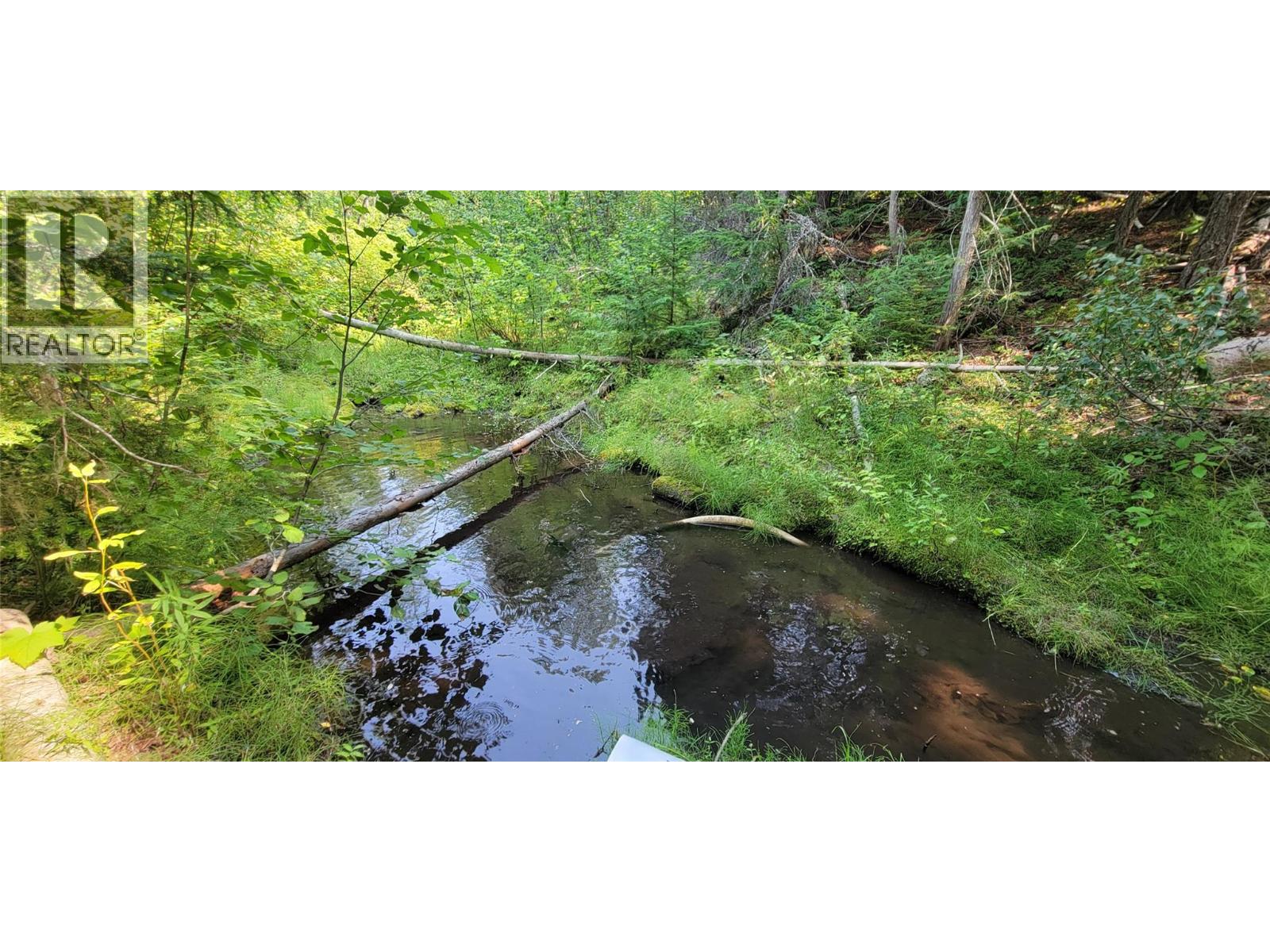 549 Rosebud Lake Road, Salmo, British Columbia  V0G 1Z0 - Photo 31 - 10377273