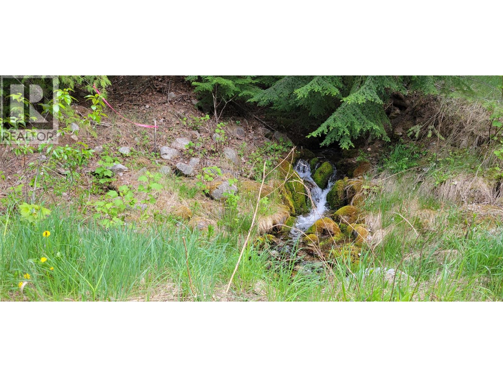 549 Rosebud Lake Road, Salmo, British Columbia  V0G 1Z0 - Photo 32 - 10377273