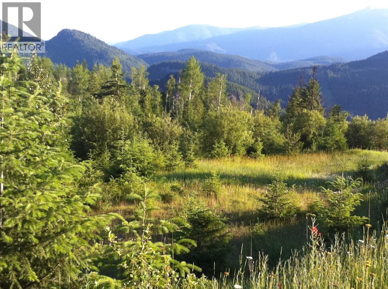 549 Rosebud Lake Road, Salmo, British Columbia  V0G 1Z0 - Photo 34 - 10377273