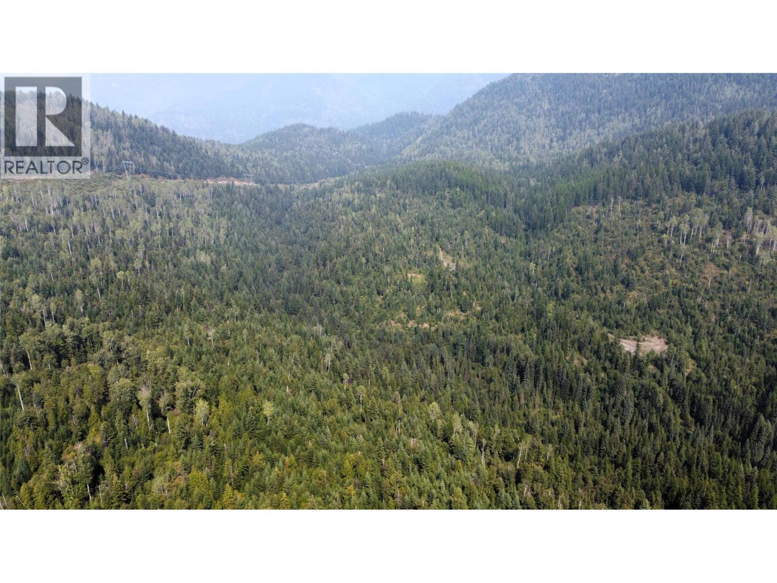 549 Rosebud Lake Road, Salmo, British Columbia  V0G 1Z0 - Photo 35 - 10377273