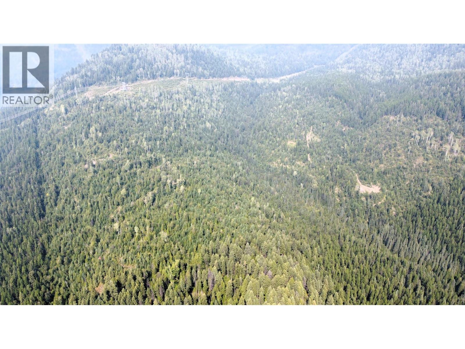 549 Rosebud Lake Road, Salmo, British Columbia  V0G 1Z0 - Photo 36 - 10377273