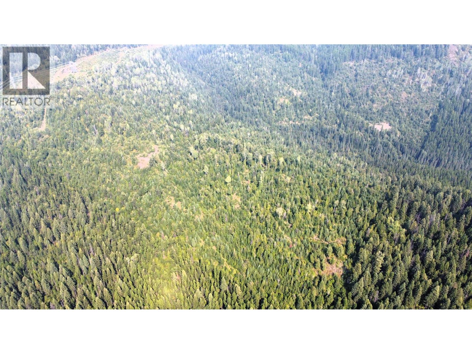 549 Rosebud Lake Road, Salmo, British Columbia  V0G 1Z0 - Photo 38 - 10377273