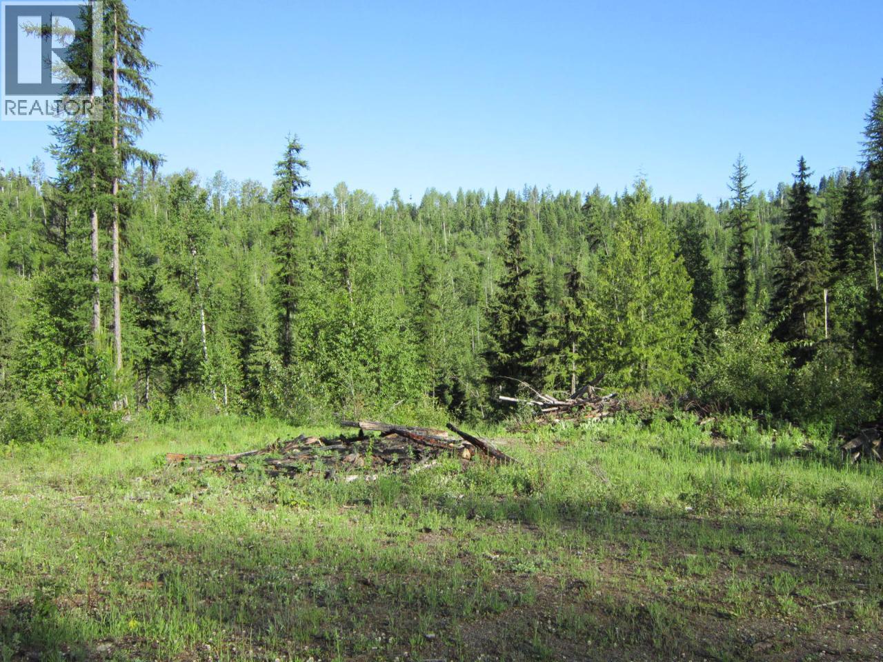 549 Rosebud Lake Road, Salmo, British Columbia  V0G 1Z0 - Photo 4 - 10377273