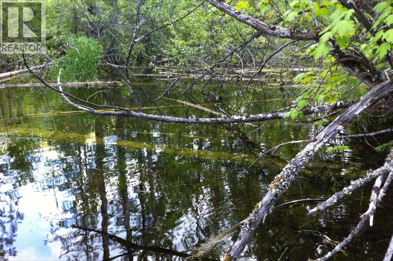 549 Rosebud Lake Road, Salmo, British Columbia  V0G 1Z0 - Photo 6 - 10377273