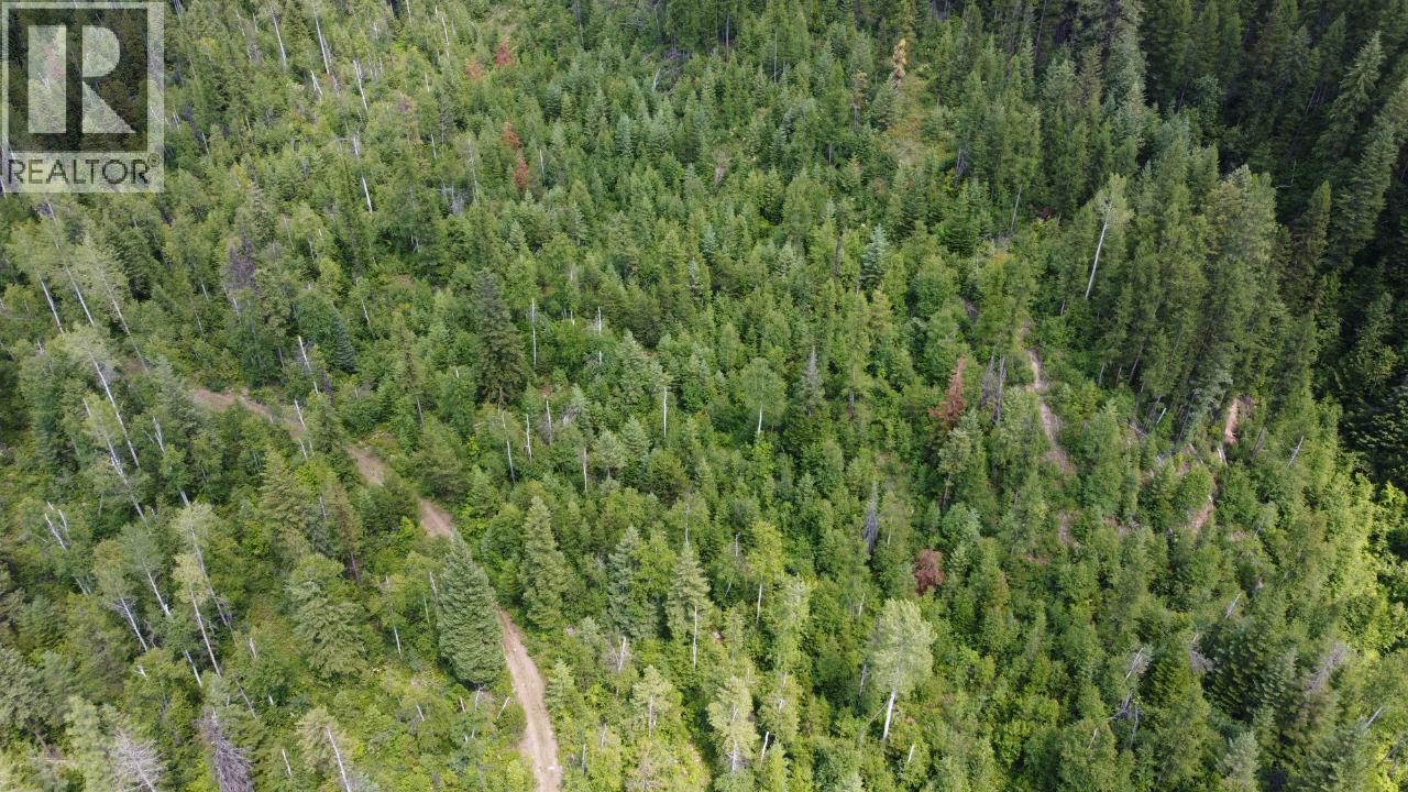 549 Rosebud Lake Road, Salmo, British Columbia  V0G 1Z0 - Photo 8 - 10377273