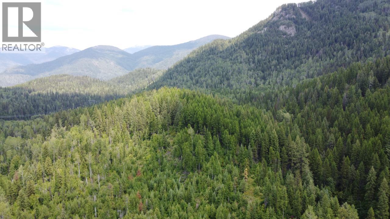 549 Rosebud Lake Road, Salmo, British Columbia  V0G 1Z0 - Photo 9 - 10377273