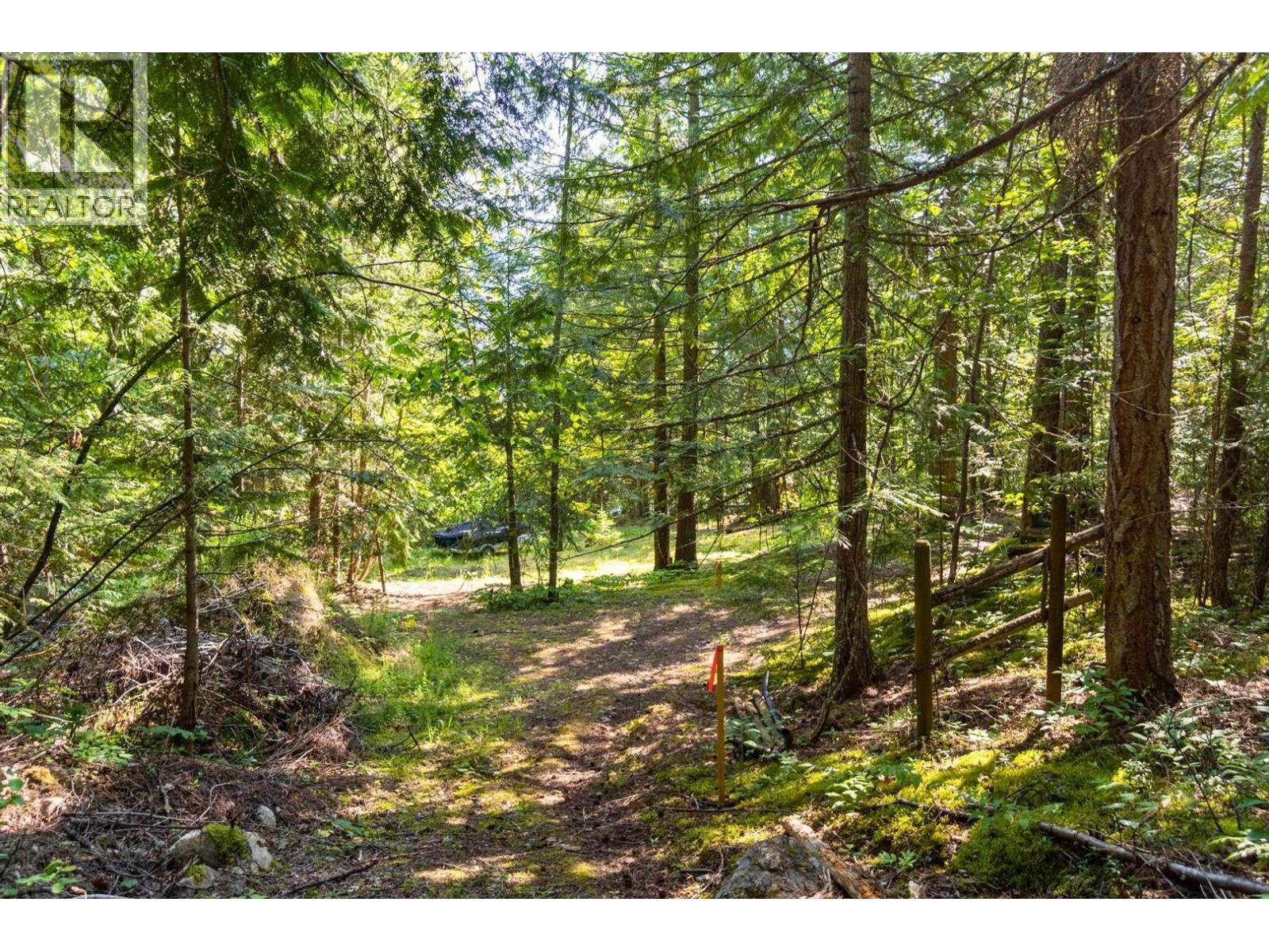 Sunnybrae Canoe Point Road, Tappen, British Columbia  V0E 2X0 - Photo 15 - 10377718