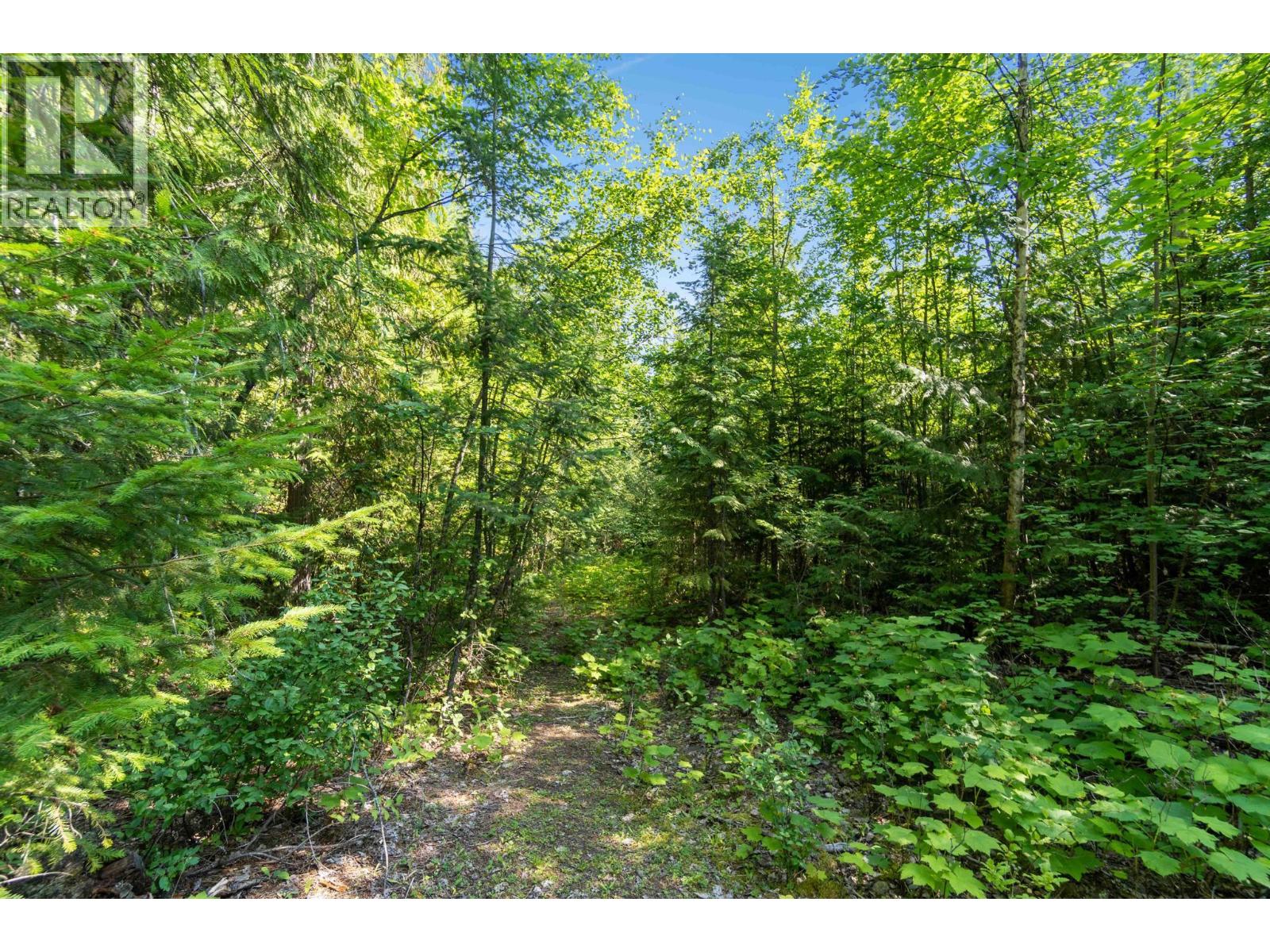 Sunnybrae Canoe Point Road, Tappen, British Columbia  V0E 2X0 - Photo 16 - 10377718